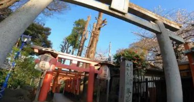 Hanazono Inari Tapınağı 'nın büyük torii kapısını geç ve 1000 torii geçidi boyunca yürü. Hanazono Inari Tapınağı, Ueno Park, Taito Ward, Tokyo' da bulunan bir türbe.