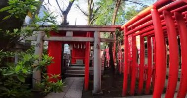 Shitaya Tapınağı, Higashiueno, Taito Ward, Tokyo, Japonya 'daki en eski Inari tapınağı. 730 yılında inşa edildiği söyleniyor.