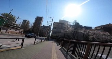 Sabahın erken saatlerinde Asakusa parkında küçük bir tapınağa doğru yürürken.