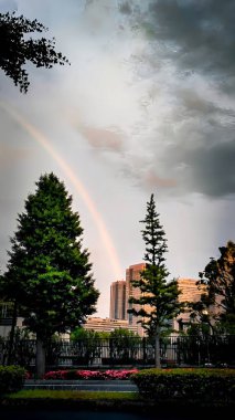 A rainbow over Kasumigaseki after the rain clipart