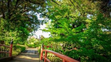 Senzokuike Park - Red bridge leading to Senzokuike Benzaiten.Located on Benten Island in Senzokuike, Tokyo, Japan clipart