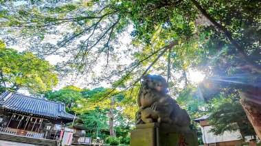 Hikawa-dai Hikawa Tapınağı, Hikawa-dai, Nerima-ku, Tokyo. Tapınak 1457 yılında kuruldu. Shibukawa Yoshikagami Shimonerima 'daki Shakuji Nehri' ni geçmeye giderken Furukawa Lordu Ashikaga Shigeji 'ye karşı savaşmaya gidiyordu.