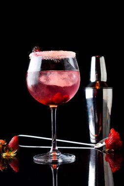 Kokteyl içecekleri, içki, şarap, cin, kokteyl karıştırıcı ve meyve dilimli bar malzemeleri, buz ve şişe. 