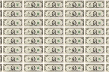 Birçok 100 dolarlık banknotların arka plan olarak tekrarlanmasının sebebi 