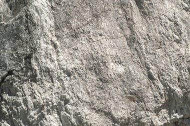 Taşların dokuları kayalar ağaç ağaçları ve ağaç gövdeleri birçok şekil çizimleri ve doğanın dokuları. 