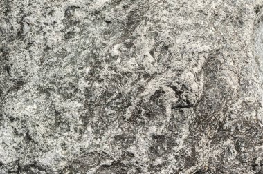 Taşların dokuları kayalar ağaç ağaçları ve ağaç gövdeleri birçok şekil çizimleri ve doğanın dokuları. 