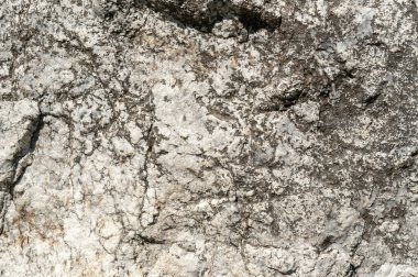 Taşların dokuları kayalar ağaç ağaçları ve ağaç gövdeleri birçok şekil çizimleri ve doğanın dokuları. 