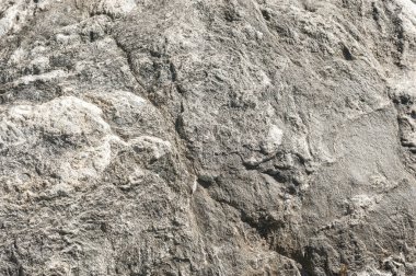 Taşların dokuları kayalar ağaç ağaçları ve ağaç gövdeleri birçok şekil çizimleri ve doğanın dokuları. 