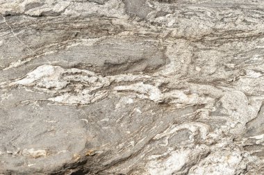 Taşların dokuları kayalar ağaç ağaçları ve ağaç gövdeleri birçok şekil çizimleri ve doğanın dokuları. 