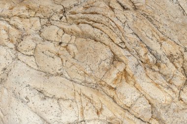 Taşların dokuları kayalar ağaç ağaçları ve ağaç gövdeleri birçok şekil çizimleri ve doğanın dokuları. 