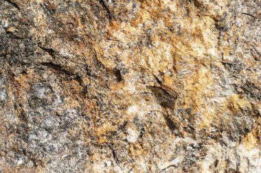 Taşların dokuları kayalar ağaç ağaçları ve ağaç gövdeleri birçok şekil çizimleri ve doğanın dokuları. 