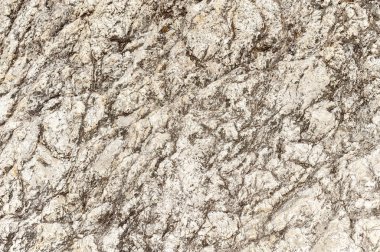 Taşların dokuları kayalar ağaç ağaçları ve ağaç gövdeleri birçok şekil çizimleri ve doğanın dokuları. 