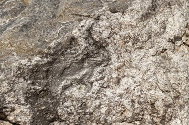 Taşların dokuları kayalar ağaç ağaçları ve ağaç gövdeleri birçok şekil çizimleri ve doğanın dokuları. 