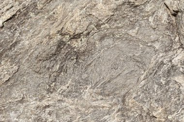 Taşların dokuları kayalar ağaç ağaçları ve ağaç gövdeleri birçok şekil çizimleri ve doğanın dokuları. 