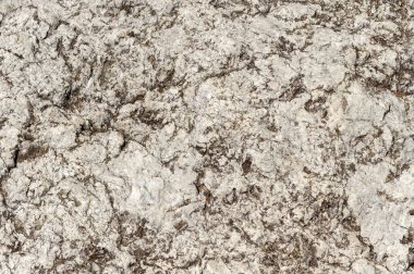 Taşların dokuları kayalar ağaç ağaçları ve ağaç gövdeleri birçok şekil çizimleri ve doğanın dokuları. 