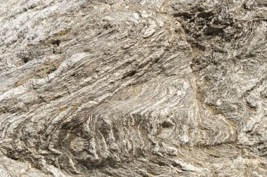 Taşların dokuları kayalar ağaç ağaçları ve ağaç gövdeleri birçok şekil çizimleri ve doğanın dokuları. 