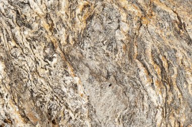 Taşların dokuları kayalar ağaç ağaçları ve ağaç gövdeleri birçok şekil çizimleri ve doğanın dokuları. 