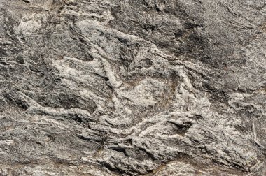 Taşların dokuları kayalar ağaç ağaçları ve ağaç gövdeleri birçok şekil çizimleri ve doğanın dokuları. 