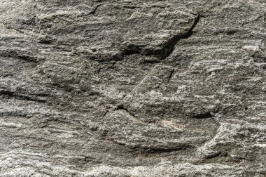 Taşların dokuları kayalar ağaç ağaçları ve ağaç gövdeleri birçok şekil çizimleri ve doğanın dokuları. 