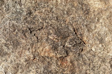 Taşların dokuları kayalar ağaç ağaçları ve ağaç gövdeleri birçok şekil çizimleri ve doğanın dokuları. 