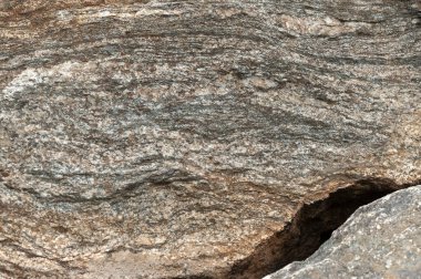 Taşların dokuları kayalar ağaç ağaçları ve ağaç gövdeleri birçok şekil çizimleri ve doğanın dokuları. 