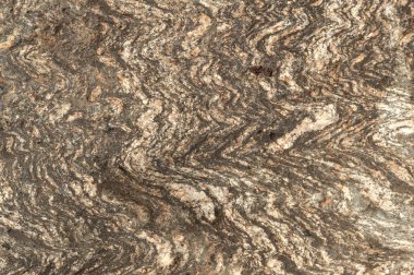 Taşların dokuları kayalar ağaç ağaçları ve ağaç gövdeleri birçok şekil çizimleri ve doğanın dokuları. 