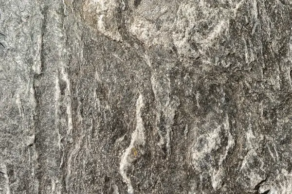 Texturas Piedras Rocas Madera Árboles Corteza Troncos Placas Muchas Formas — Foto de Stock