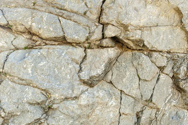 Taşların dokuları kayalar ağaç ağaçları ve ağaç gövdeleri birçok şekil çizimleri ve doğanın dokuları. 