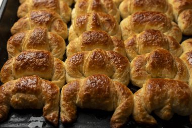 Çiğ ve pişmiş kruvasan ya da kahvaltıda tereyağı ve yağdan yapılmış kruvasan tepside ve masada atıştırmalık. 