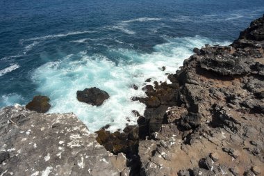 Pasifik Okyanusu 'ndaki Galapagos Adaları' nın mavi, yeşil suları ve volkanik kayalarıyla deniz, dalgalar ve uçurumlarla kaplı plaj manzarası. 