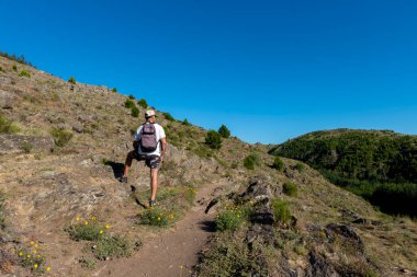 Dağlarda gezen yetişkin bir gezgin dağ ormanlarının güzel manzarasını gezer ve düşünür. 