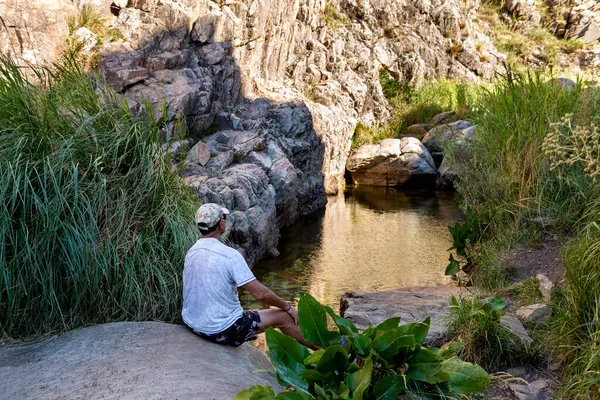 Dağlarda gezen yetişkin bir gezgin dağ ormanlarının güzel manzarasını gezer ve düşünür. 