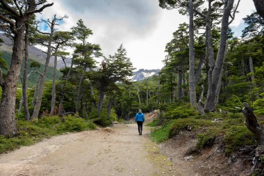 Kadın, dağların güzel manzarasını seyrediyor ve yürüyor. Ormanlar, nehirler ve köprüler. Uhuaia Argentina 'nın dünyanın sonu.