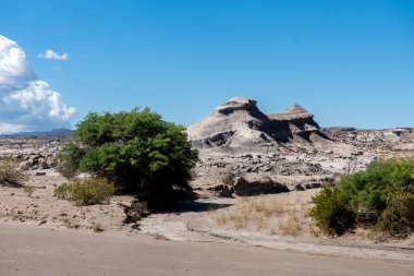 Ay Vadisi, Ischigualasto Parkı, Arjantin 'de sihirli taş ve kaya şekilli inanılmaz manzaralar. 