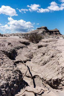 Ay Vadisi, Ischigualasto Parkı, Arjantin 'de sihirli taş ve kaya şekilli inanılmaz manzaralar. 