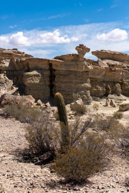 Ay Vadisi, Ischigualasto Parkı, Arjantin 'de sihirli taş ve kaya şekilli inanılmaz manzaralar. 