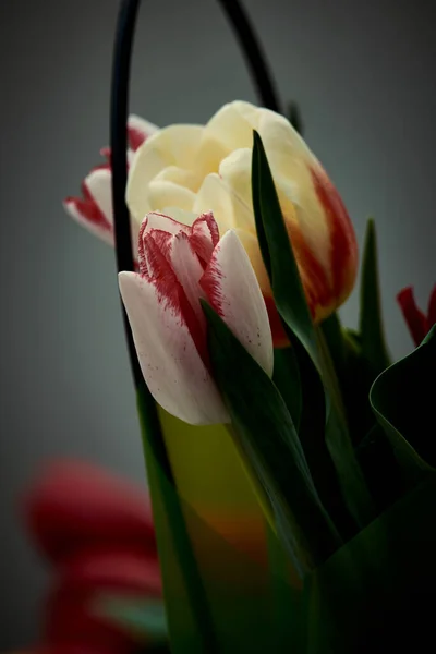 Güzel bir buket lale, renkli laleler