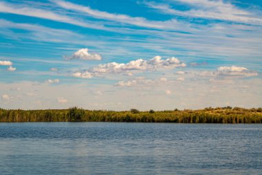 Ormandaki güzel göl.