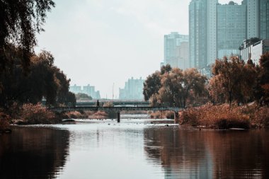 Hollanda 'nın en kalabalık parkının şehri.