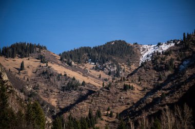Karlı güzel kış manzarası