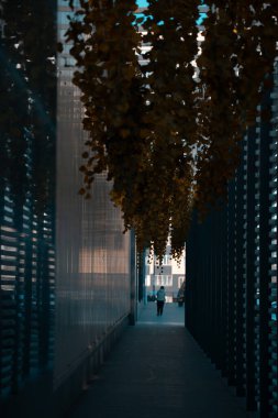 Şehrin ortasındaki modern bir binanın dikey görüntüsü.