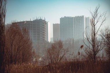 Sabahları parkın manzarası.