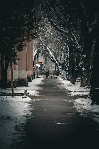 Karlı güzel kış manzarası