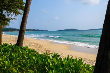 Arka planda deniz ağaçları ve palmiye ağaçları olan güzel tropik plajlar.
