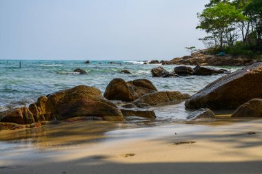 Deniz, sahil, kayalar ve hurma ağaçları...