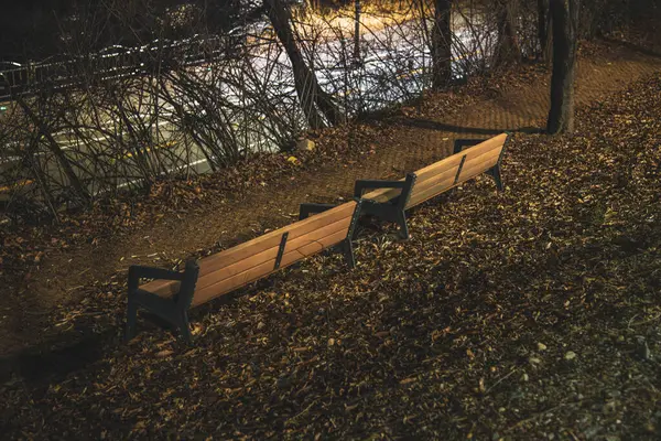 wooden benches in the forest at night