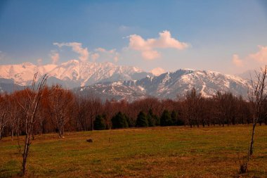Doğanın güzel manzarası
