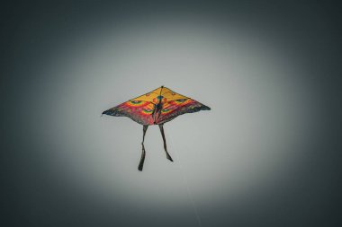Beyaz arkaplanda renkli şemsiye