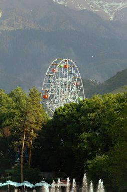 Parktaki dönme dolap.