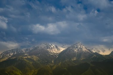 Güzel dağ manzarası. Doğa kavramı